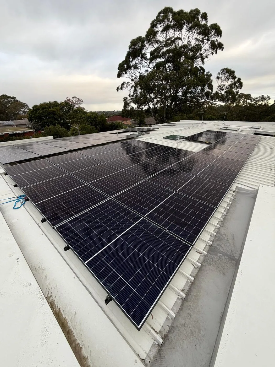 Large solar array laid across a light-coloured low-pitch roof