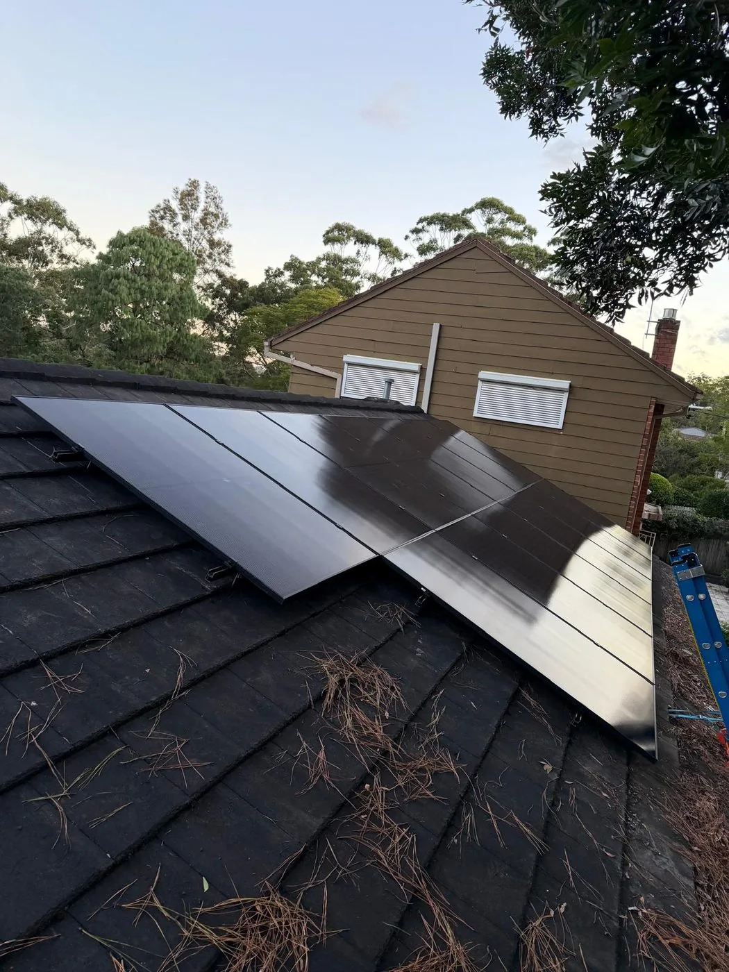 Close-up of all-black solar panels mounted on a charcoal tiled roof
